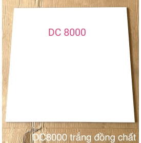 gạch 80x80 trắng trơn bình chánh