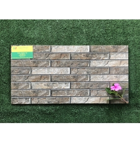 GẠCH TRANG TRÍ 25X50 VĨNH LONG